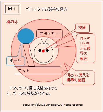 図１