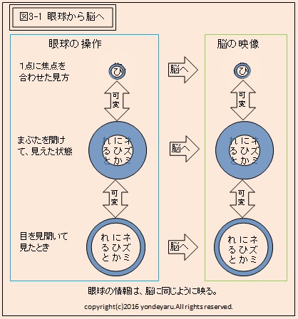 図3-1