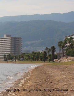 海岸から見た景色