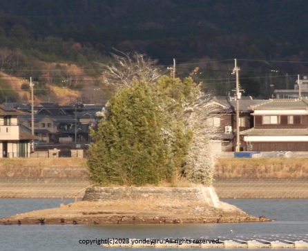 池の島