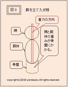 図３