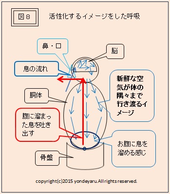 図８